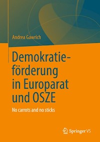 Demokratieförderung von Europarat und OSZE - Andrea Gawrich - E-Book