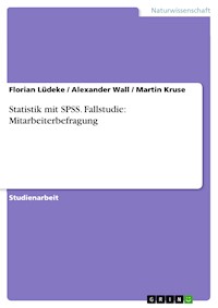 Statistik mit SPSS. Fallstudie: Mitarbeiterbefragung - Florian Lüdeke - kostenlos E-Book
