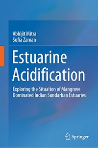 Estuarine Acidification - Abhijit Mitra - E-Book