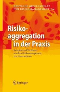 Risikoaggregation in der Praxis -  - E-Book