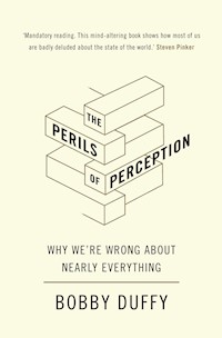 The Perils of Perception - Bobby Duffy - E-Book