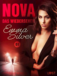 Nova 1 - Das Wiedersehen: Erotische Novelle - Emma Silver - E-Book