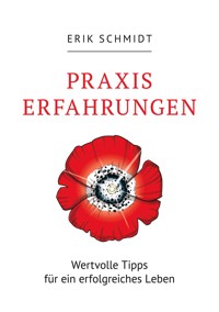 Praxis Erfahrungen - Erik Schmidt - E-Book