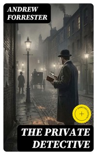 The Private Detective - Andrew Forrester - E-Book