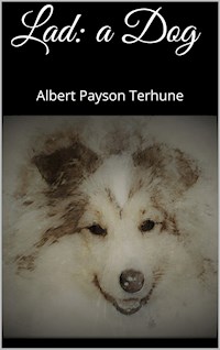 Lad: A Dog - Albert Payson Terhune - E-Book