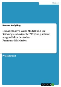 Das Alternative-Wege-Modell und die Wirkung audiovisueller Werbung anhand ausgewählter deutscher Premium-Pils-Marken - Hannes Knüpling - E-Book