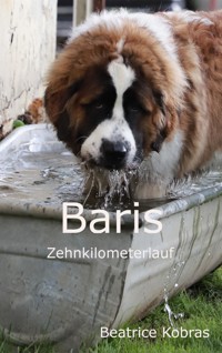 Baris Zehnkilometerlauf - Beatrice Kobras - E-Book