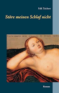 Störe meinen Schlaf nicht - Falk Teichert - E-Book