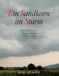 Ein Sandkorn im Sturm - Josef Selmayr - E-Book