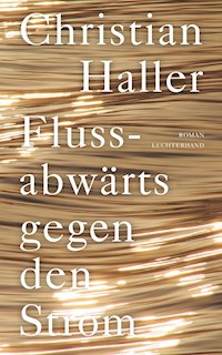 Flussabwärts gegen den Strom - Christian Haller - E-Book