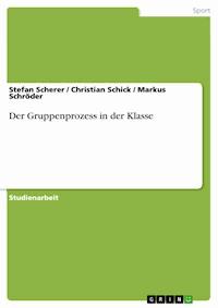 Der Gruppenprozess in der Klasse - Stefan Scherer - E-Book