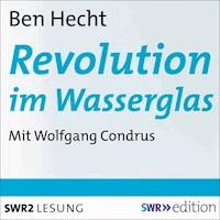 Revolution im Wasserglas - Ben Hecht - Hörbuch