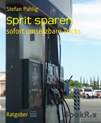 Sprit sparen - Stefan Pahlig - kostenlos E-Book