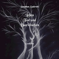 Leben Tod und Dazwischen - Jonathan Sadovski - E-Book