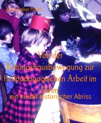 Von der Rettungshausbewegung zur heilpädagogischen Arbeit im Heim - Klaus-Rainer Martin - kostenlos E-Book