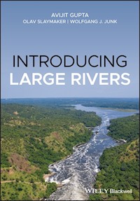 Introducing Large Rivers - Avijit Gupta - E-Book