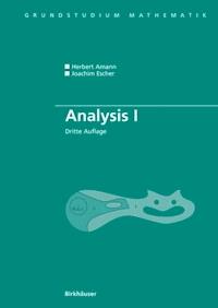 Analysis I - Herbert Amann - E-Book