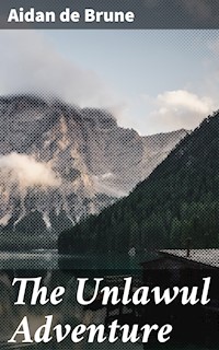 The Unlawul Adventure - Aidan de Brune - E-Book