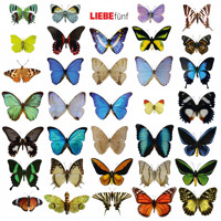 Liebe fünf - Hagen Rether - Hörbuch