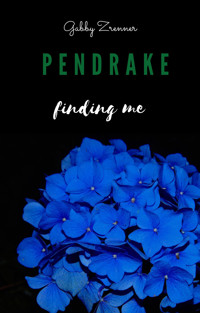 Pendrake 1- Finding me - Gabby Zrenner - E-Book