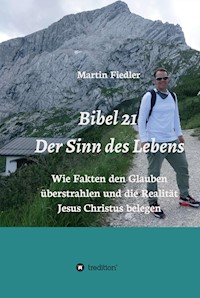 Bibel 21 - Der Sinn des Lebens - Martin Fiedler - E-Book