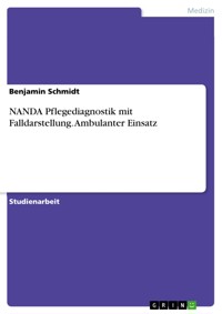NANDA Pflegediagnostik mit Falldarstellung. Ambulanter Einsatz - Benjamin Schmidt - E-Book