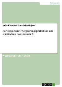 Portfolio zum Orientierungspraktikum am städtischen Gymnasium X. - Julia Klewin - E-Book
