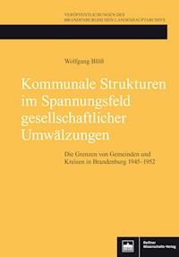 Kommunale Strukturen im Spannungsfeld gesellschaftlicher Umwälzungen - Wolfgang Blöß - kostenlos E-Book