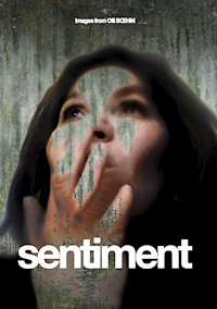sentiment - Olli Boehm - E-Book