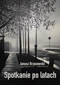 Spotkanie po latach - Janusz Brzozowski - E-Book