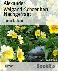 Nachgefragt - Alexander Weigand-Schoenherr - kostenlos E-Book