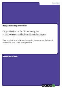 Organisatorische Steuerung in sozialwirtschaftlichen Einrichtungen - Benjamin Hagenmüller - E-Book