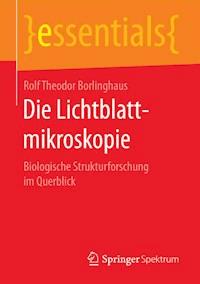 Die Lichtblattmikroskopie - Rolf Theodor Borlinghaus - E-Book