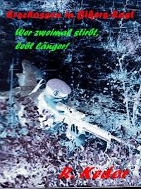 Erschossen in Bikers-Rast - Roman Kedor - E-Book