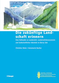 Die zukünftige Landschaft erinnern - Christine Meier - E-Book