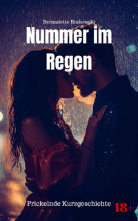 Nummer im Regen - Bernadette Binkowski - E-Book