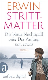 Die blaue Nachtigall oder Der Anfang von etwas - Erwin Strittmatter - E-Book