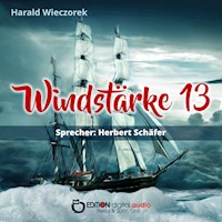 Windstärke 13 - Harald Wieczorek - Hörbuch