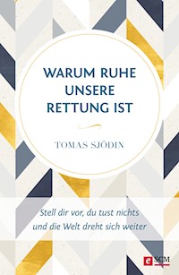 Warum Ruhe unsere Rettung ist - Tomas Sjödin - E-Book