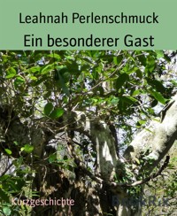 Ein besonderer Gast - Leahnah Perlenschmuck - E-Book