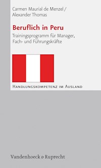 Beruflich in Peru - Carmen Maurial de Menzel - E-Book