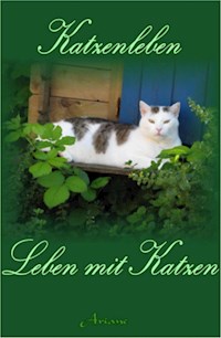 Katzenleben - Ariane47 - E-Book