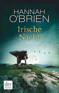Irische Nacht - Hannah O'Brien - E-Book