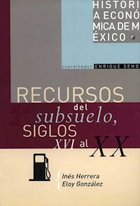 Recursos del subsuelo, siglos XVI al XX - Inés Herrera - E-Book