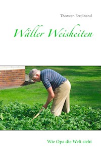 Wäller Weisheiten - Thorsten Ferdinand - E-Book