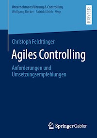 Agiles Controlling - Christoph Feichtinger - E-Book
