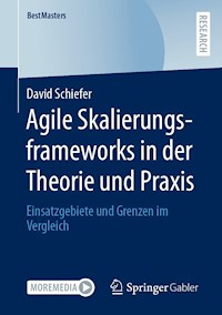 Agile Skalierungsframeworks in der Theorie und Praxis - David Schiefer - E-Book