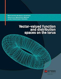 Vector-valued function and distribution spaces on the torus - Bienvenido Barraza Martínez - E-Book