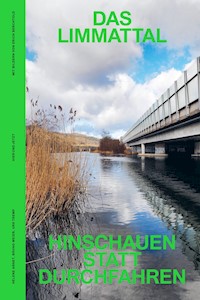 Das Limmattal - Helene Arnet - E-Book