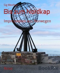 Bis zum Nordkap - Sig Meuther - E-Book